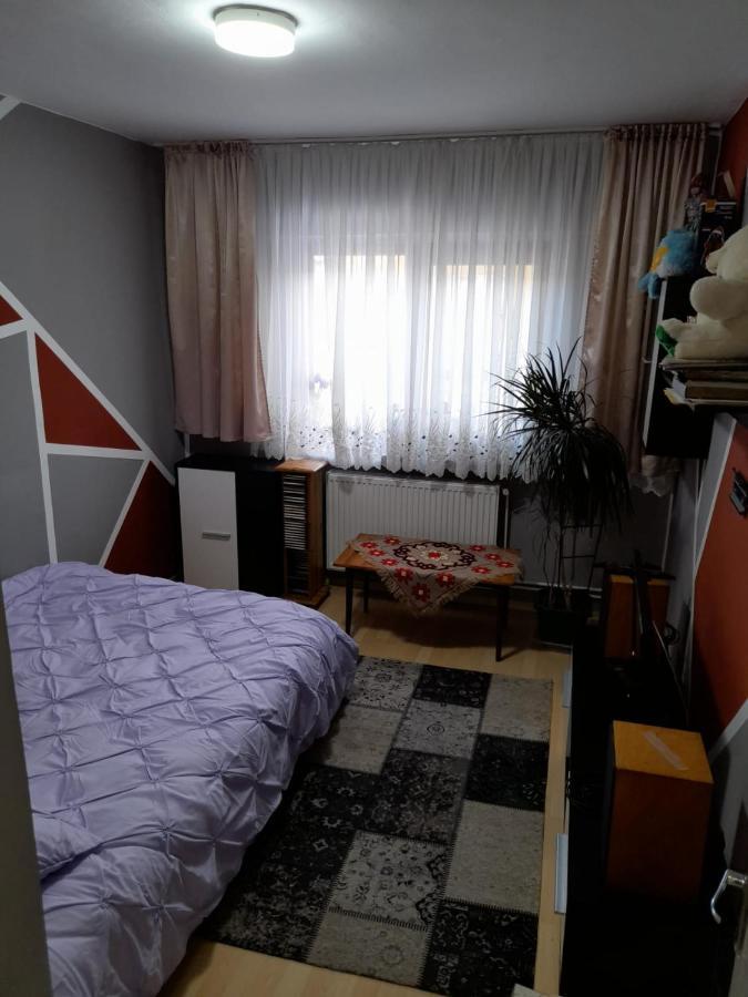 Apartament Straja - Lupeni  Exterior foto